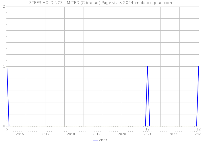 STEER HOLDINGS LIMITED (Gibraltar) Page visits 2024 