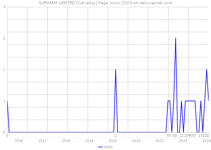SURINAM LIMITED (Gibraltar) Page visits 2024 