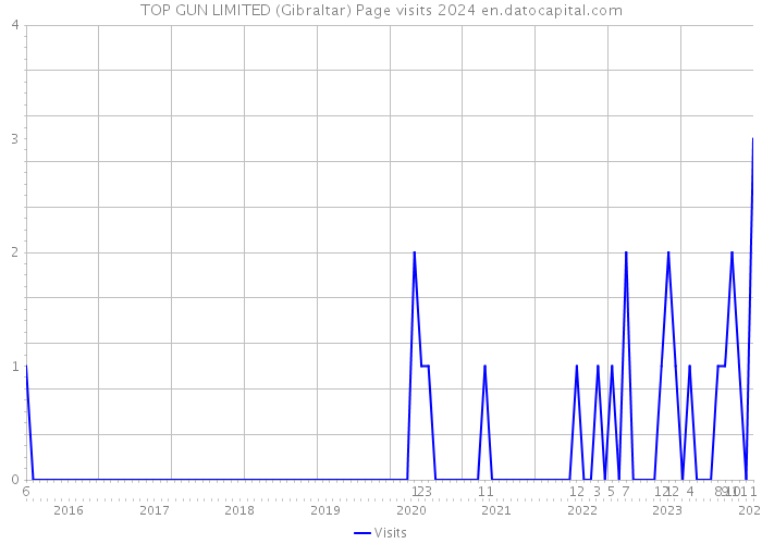 TOP GUN LIMITED (Gibraltar) Page visits 2024 