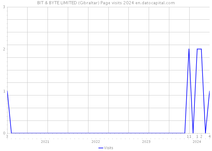 BIT & BYTE LIMITED (Gibraltar) Page visits 2024 