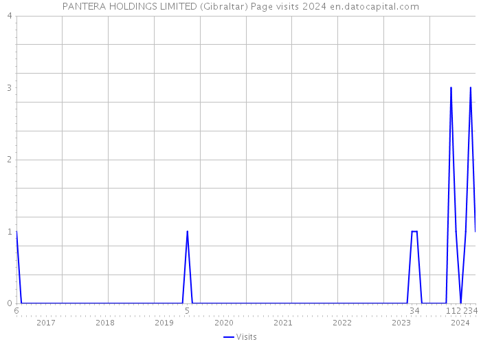 PANTERA HOLDINGS LIMITED (Gibraltar) Page visits 2024 