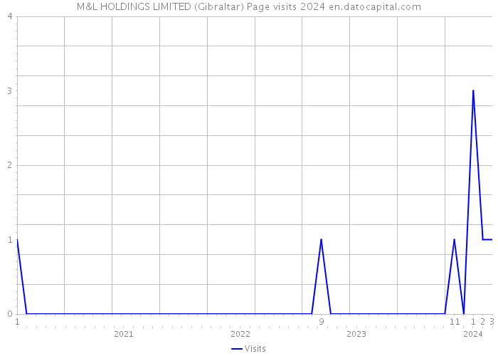 M&L HOLDINGS LIMITED (Gibraltar) Page visits 2024 