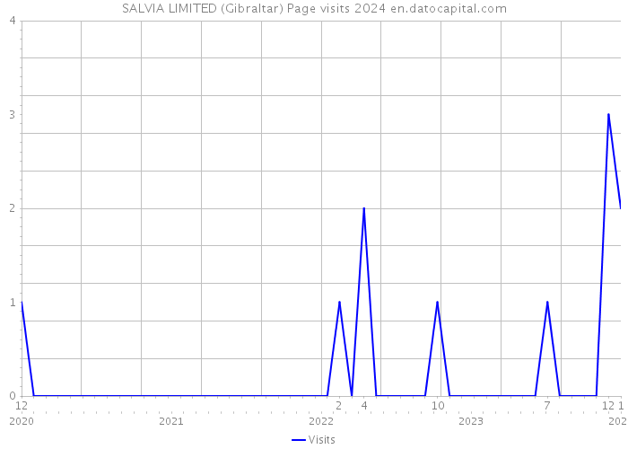 SALVIA LIMITED (Gibraltar) Page visits 2024 