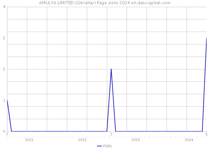 AMULYA LIMITED (Gibraltar) Page visits 2024 