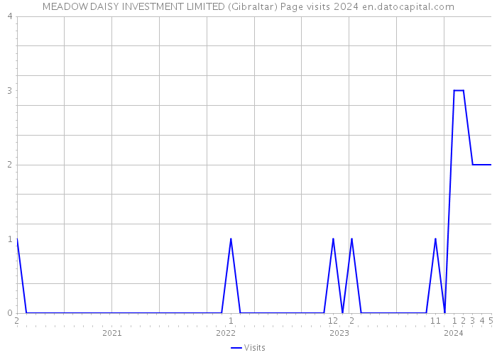 MEADOW DAISY INVESTMENT LIMITED (Gibraltar) Page visits 2024 