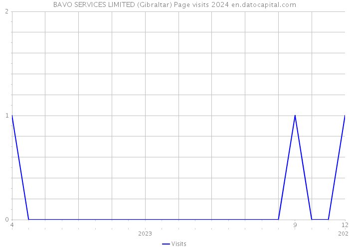 BAVO SERVICES LIMITED (Gibraltar) Page visits 2024 
