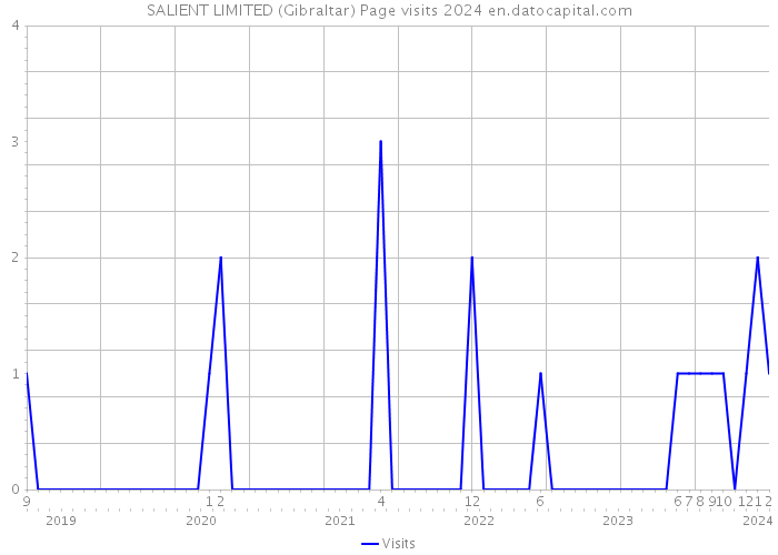 SALIENT LIMITED (Gibraltar) Page visits 2024 