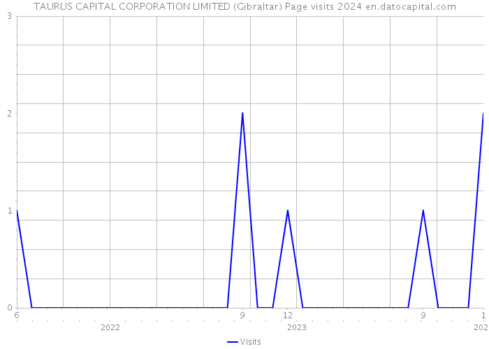 TAURUS CAPITAL CORPORATION LIMITED (Gibraltar) Page visits 2024 