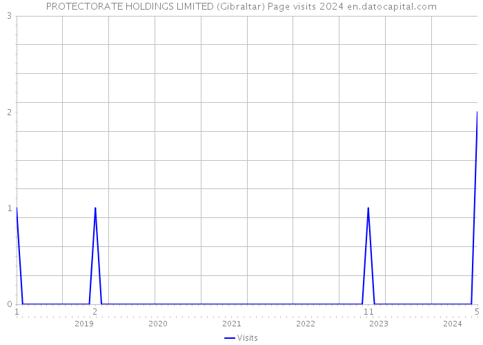 PROTECTORATE HOLDINGS LIMITED (Gibraltar) Page visits 2024 