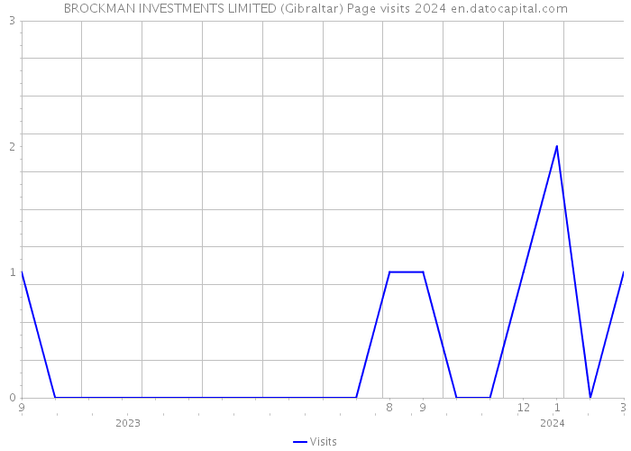 BROCKMAN INVESTMENTS LIMITED (Gibraltar) Page visits 2024 