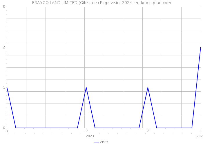 BRAYCO LAND LIMITED (Gibraltar) Page visits 2024 