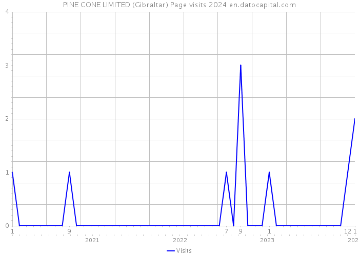 PINE CONE LIMITED (Gibraltar) Page visits 2024 