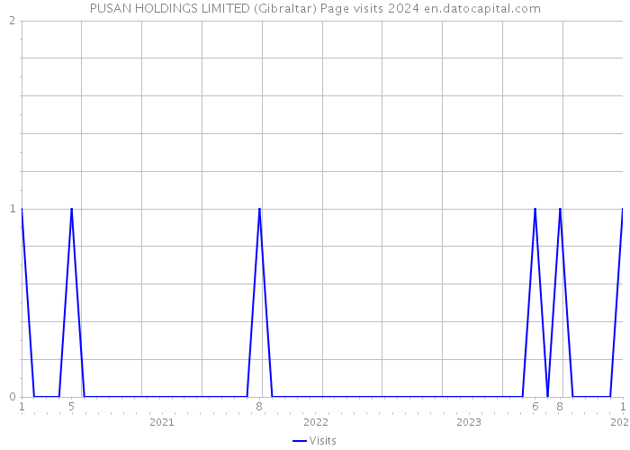PUSAN HOLDINGS LIMITED (Gibraltar) Page visits 2024 