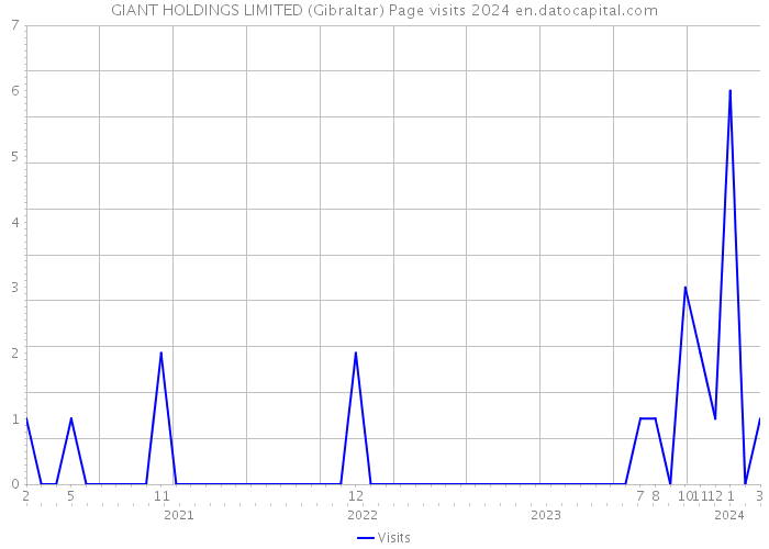 GIANT HOLDINGS LIMITED (Gibraltar) Page visits 2024 