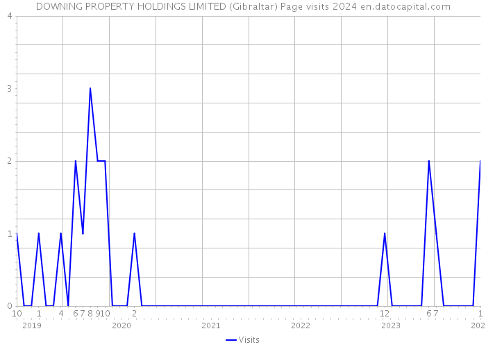 DOWNING PROPERTY HOLDINGS LIMITED (Gibraltar) Page visits 2024 