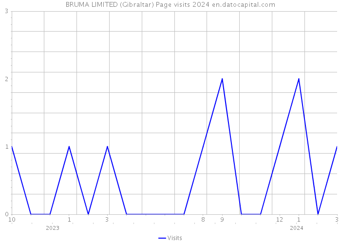 BRUMA LIMITED (Gibraltar) Page visits 2024 