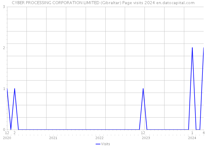 CYBER PROCESSING CORPORATION LIMITED (Gibraltar) Page visits 2024 