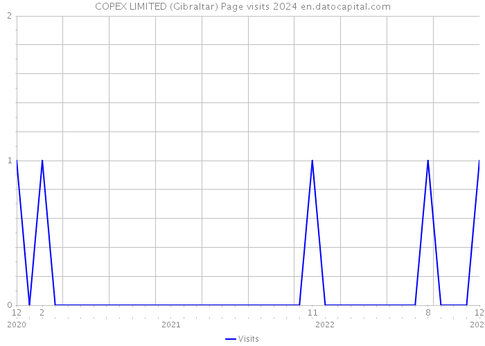 COPEX LIMITED (Gibraltar) Page visits 2024 