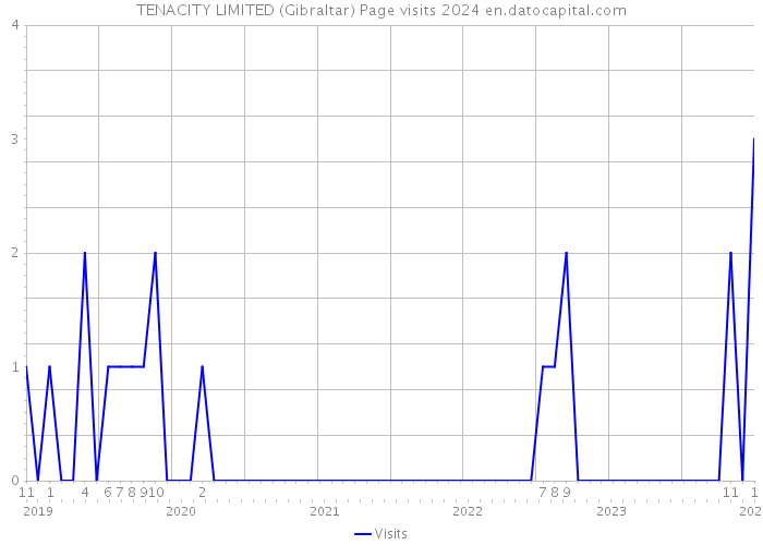 TENACITY LIMITED (Gibraltar) Page visits 2024 