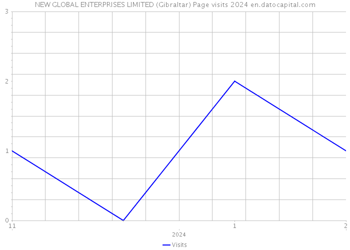 NEW GLOBAL ENTERPRISES LIMITED (Gibraltar) Page visits 2024 