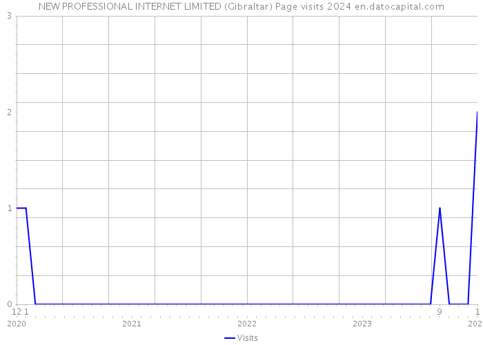 NEW PROFESSIONAL INTERNET LIMITED (Gibraltar) Page visits 2024 