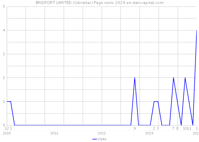 BRIDPORT LIMITED (Gibraltar) Page visits 2024 