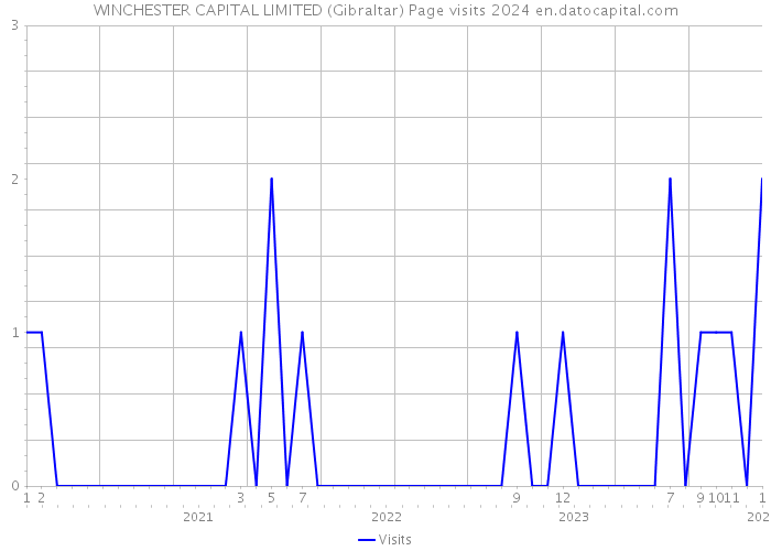 WINCHESTER CAPITAL LIMITED (Gibraltar) Page visits 2024 