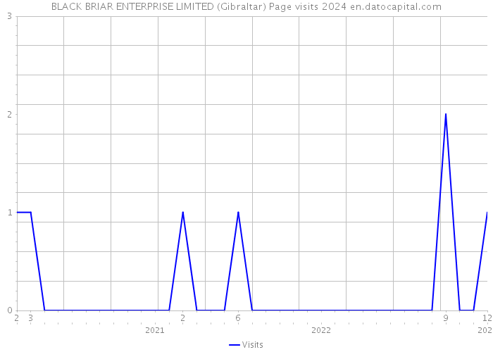 BLACK BRIAR ENTERPRISE LIMITED (Gibraltar) Page visits 2024 