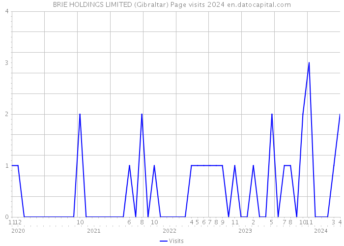 BRIE HOLDINGS LIMITED (Gibraltar) Page visits 2024 