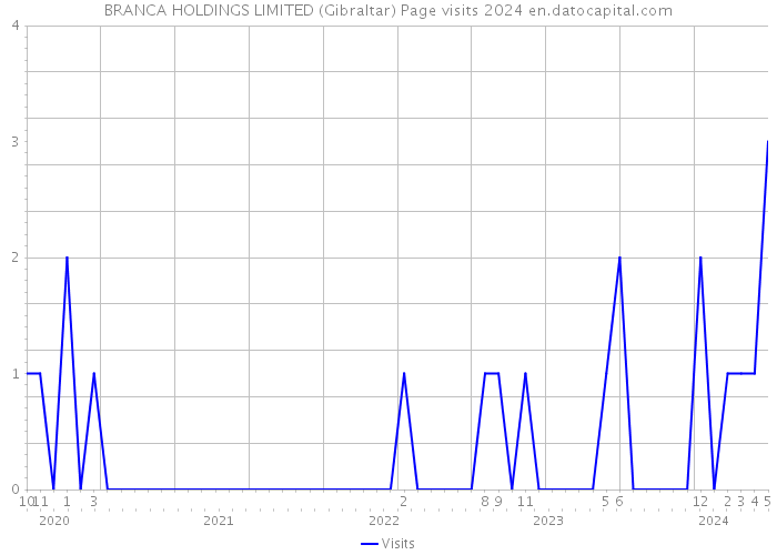 BRANCA HOLDINGS LIMITED (Gibraltar) Page visits 2024 