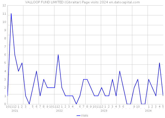 VALLOOP FUND LIMITED (Gibraltar) Page visits 2024 