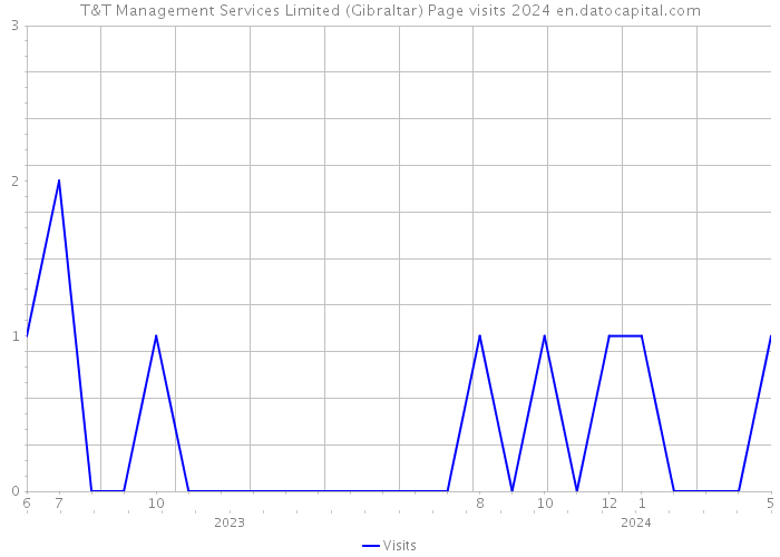 T&T Management Services Limited (Gibraltar) Page visits 2024 