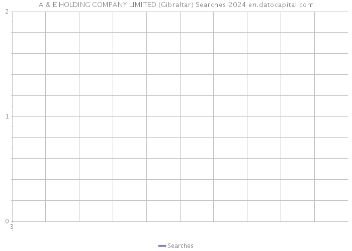 A & E HOLDING COMPANY LIMITED (Gibraltar) Searches 2024 