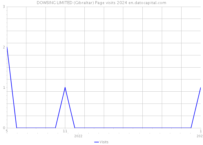 DOWSING LIMITED (Gibraltar) Page visits 2024 