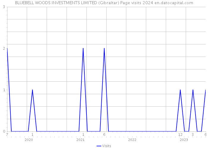 BLUEBELL WOODS INVESTMENTS LIMITED (Gibraltar) Page visits 2024 