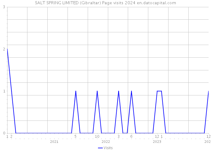 SALT SPRING LIMITED (Gibraltar) Page visits 2024 