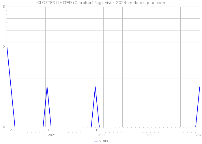 GLOSTER LIMITED (Gibraltar) Page visits 2024 