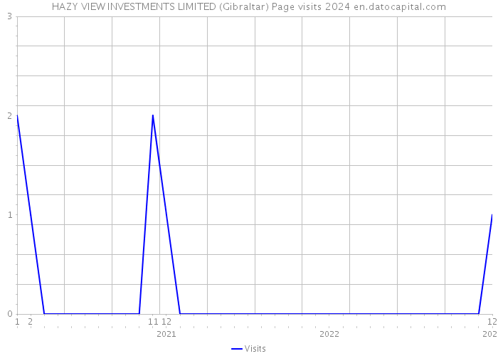 HAZY VIEW INVESTMENTS LIMITED (Gibraltar) Page visits 2024 