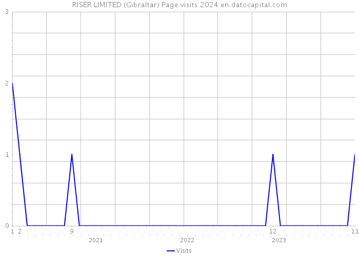 RISER LIMITED (Gibraltar) Page visits 2024 