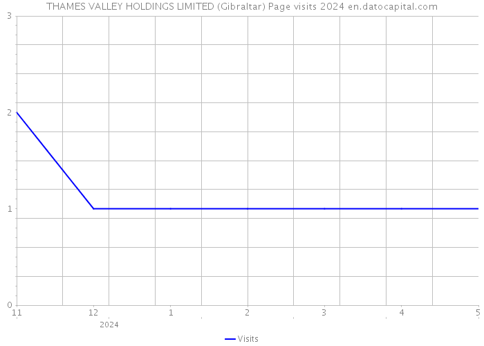 THAMES VALLEY HOLDINGS LIMITED (Gibraltar) Page visits 2024 