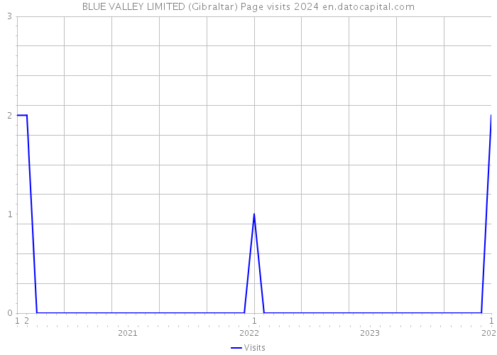 BLUE VALLEY LIMITED (Gibraltar) Page visits 2024 