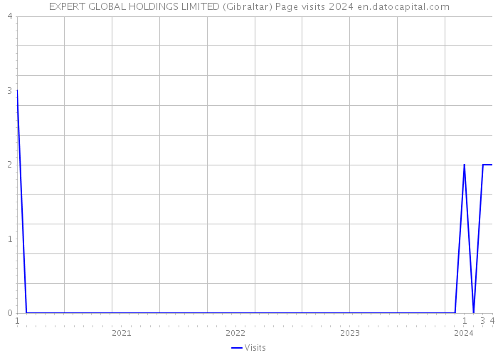 EXPERT GLOBAL HOLDINGS LIMITED (Gibraltar) Page visits 2024 