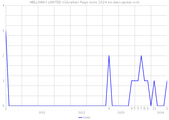 WELLSWAY LIMITED (Gibraltar) Page visits 2024 