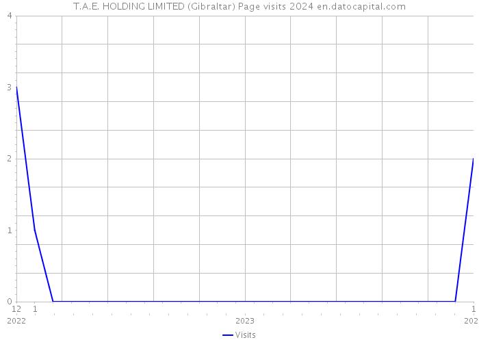T.A.E. HOLDING LIMITED (Gibraltar) Page visits 2024 