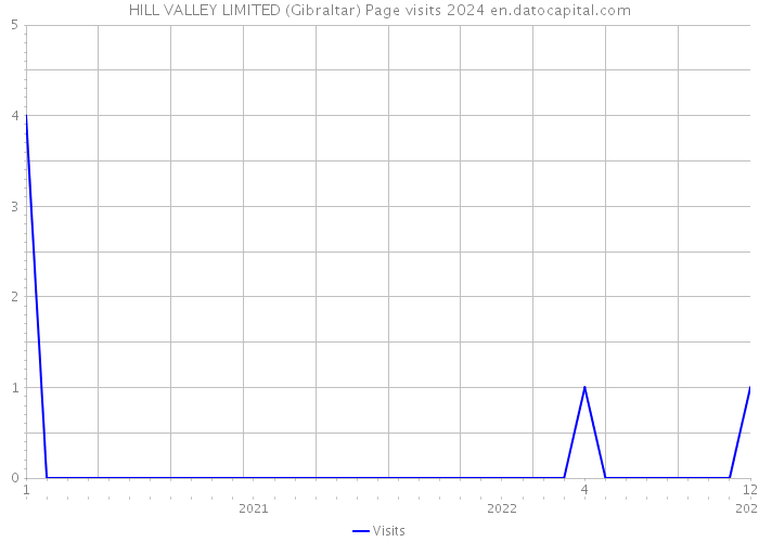 HILL VALLEY LIMITED (Gibraltar) Page visits 2024 