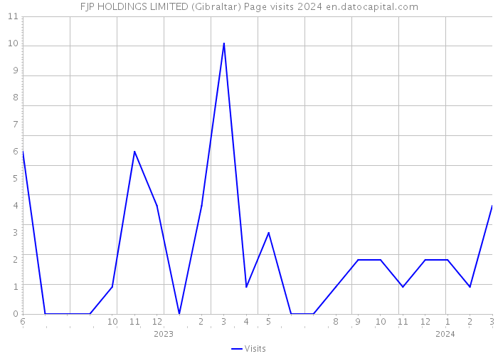 FJP HOLDINGS LIMITED (Gibraltar) Page visits 2024 