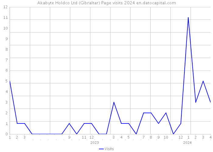 Akabyte Holdco Ltd (Gibraltar) Page visits 2024 