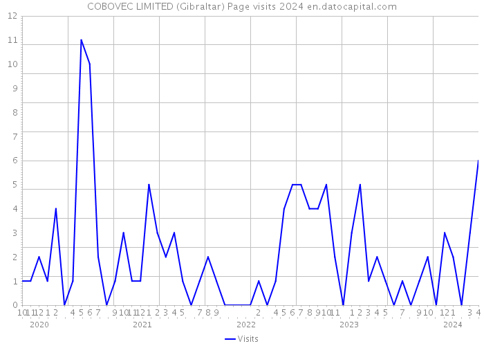 COBOVEC LIMITED (Gibraltar) Page visits 2024 