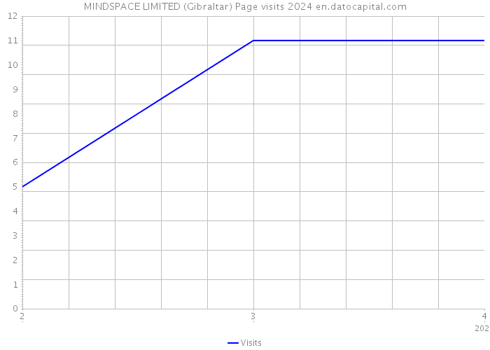 MINDSPACE LIMITED (Gibraltar) Page visits 2024 