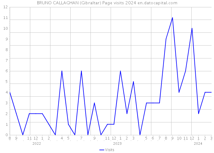 BRUNO CALLAGHAN (Gibraltar) Page visits 2024 